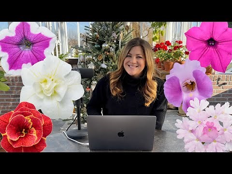 Our Experience with the New Annuals for 2024! 🌸🌿🌼 // Garden Answer