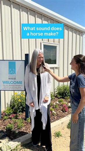 What sound does a horse make? 🐴🤪