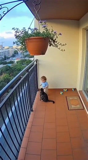 Hero Cat Saves Child From Falling Object — Caught on Security Camera 🐱