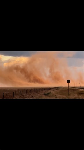 The dry dusty downdraft from a strong storm really shows the strength in wind in some of these.. wild! Filmed east of Amarillo Texas a few days ago! #weather #texas #txwx #earth #storms #photography #landscape #wind | Blake Brown Photography