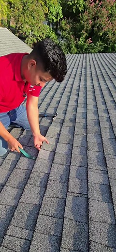 Roofing Life: Tips for Homeowners and Contractors