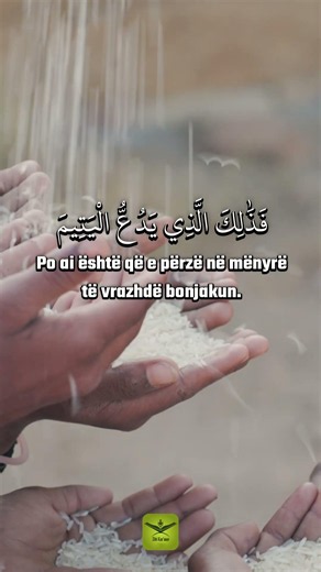 Ata që vetëm shtiren (sa për sy e faqe).
