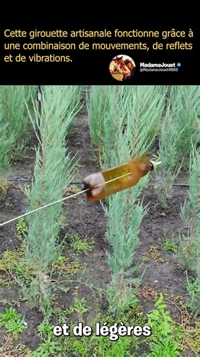 This plastic bottle could save your garden... almost for free.
