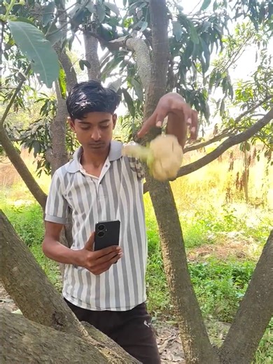 How to Get Your TikTok Account Unfrozen