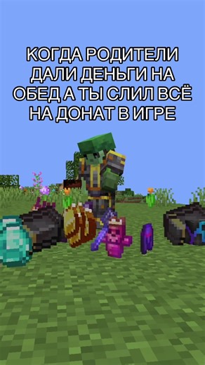 У всех такое было на an.funtime.su ?? #anim #minecraft #фантайм #майнкрафт #пионер