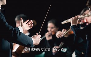 「奏乐者 3」NotePerformer 汉译宣传片