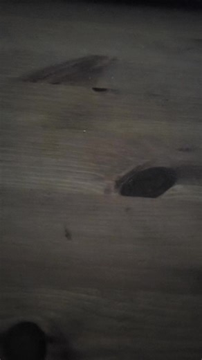 charlie and the chocolate fact (@ferrariracing3)’s videos with original sound - charlie and the chocolate fact