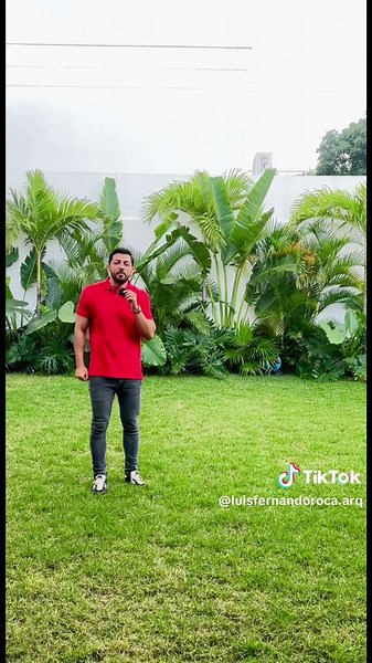 Como armar tu jardín 🌴🌿🌱 #hazlotumismo #jardin #paisajes #paisajismo #palmeras #arquitectura #inspiration #diseño #natural #naturaleza #vegetacion #pazmental #paratii #trabajoencasa