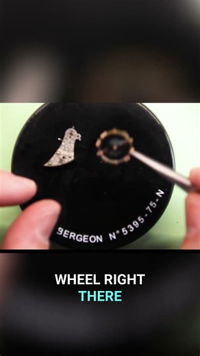 Watchmaking: Balance Wheel & Hairspring Removal Explained #shorts
