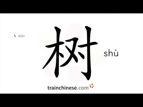 How to write 树 (shù) – tree – stroke order, radical, examples and spoken audio