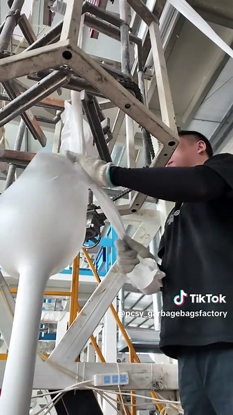 The Intricate Process of Making Plastic Bags