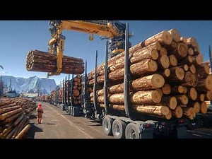 Inside America’s Timber Industry: Logging, Transport, and Milling Explained