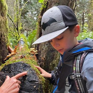 105 reactions · 7 comments | Learn the Winter Skills of a Naturalist:...