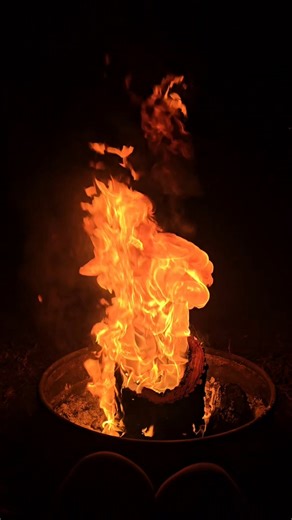 Hollow Log Fire Fun