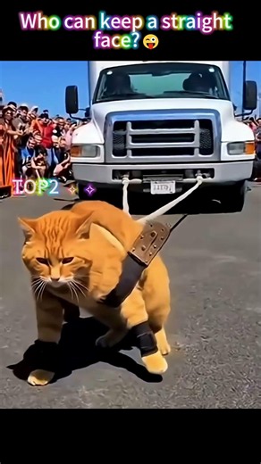 #funny #comedy #viral #humor #lol #lmao #memes #meme #funnyvideos #hilarious #fyp #foryoupage