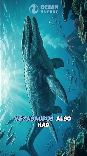 Mesosaurus | Why Mesosaurus Was So Dangerous? #oceanlife