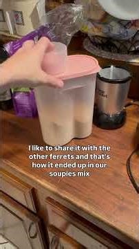 Ferret Soupies Recipe #ferrets #cuteanimals #petcare