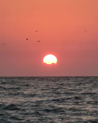 64K views · 18K reactions | Good morning  | 302 Life | Facebook