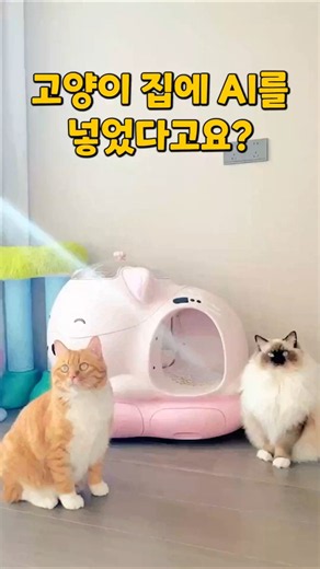 You put AI in a cat house? #Cathouse #AICathouse #CatSupplies