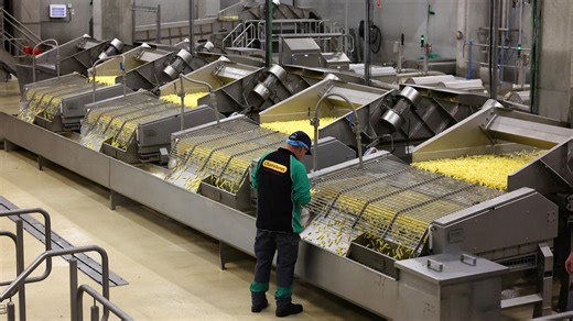 Bourbourg : le géant américain J.R. Simplot rachète le spécialiste de la frite surgelée Clarebout