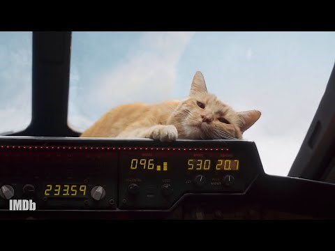 Meet Goose: Captain Marvel's Kitty | IMDbrief