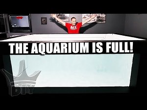MY HUGE AQUARIUM IS FULL OF WATER!!!
