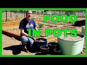 The Best Plants for Container Gardens