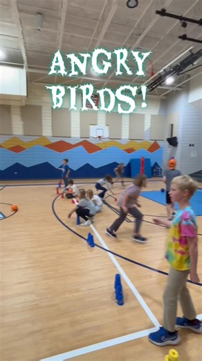 1.5K views | Angry Birds 礪 with Speed Stacks! Get out the balls, set up your targets and launch away! Whether you’re looking for new Stacking activities or alternatives to tossing / bowling units in PE, Angry Birds is bound to get your students engaged! Find this one at https://www.speedstacks.com/teach/games/angry-birds/ for more details! #physed #pe #afterschool #speedstacks #peteacher | Speed Stacks Inc | Facebook
