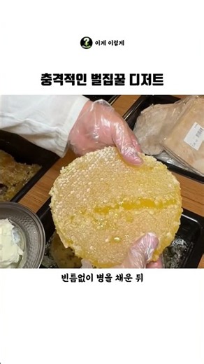 충격적인 벌집꿀 디저트