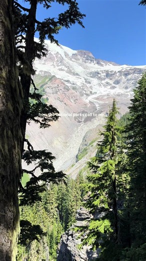 Yellowstone National Park Adventures