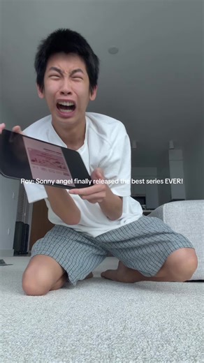 POV: Sonny angel finally released the best series EVER! #sonnyangel #sonnyangels #figure #fyp #blindbox