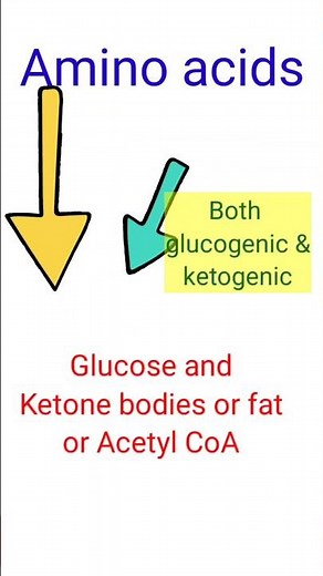 What are Glucogenic & Ketogenic amino acids ? #biology #biochemistry #shortsfeed #aminoacid #protein