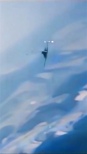 17K views · 275 reactions | Fighter Pilots Dog Fighting #shorts | Movie Carnage | Facebook