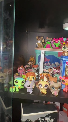LPs collection #LPS #littlestpetshop