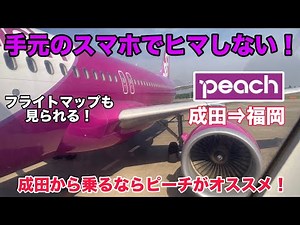 【楽チン機内注文】Peachの機内サービスが良いからみんな乗ろう。【成田空港】【LCCと侮るなかれ】