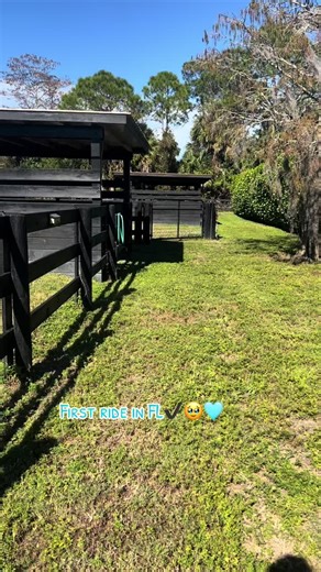 So extremely thankful for my village that allows this to be happening🥹 I never would of been able to pull this off without them @Jeremy Pratt @deniseplatts235 #wellington #wef #horses #florida #thankful