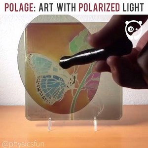 Polage: art with polarized light using polarizing sheets and cellulose to create changing forms and colors: Credit: @physicsfun: goo.gl/Ay85Dc | Bored Panda Art