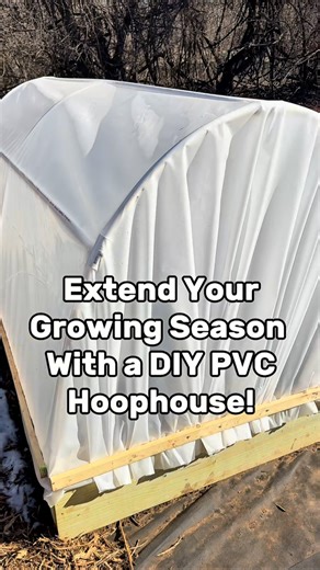 6.5K views · 5.1K reactions | 塞 Grow Year-Round with a DIY PVC Dome...