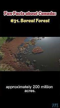 Fun Facts about Canada: #31. The Boreal Forest