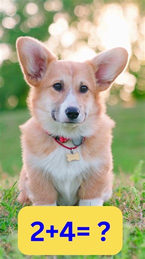 Dog Sound for Kids 🐶 Real Dog Bark | Animal Sounds