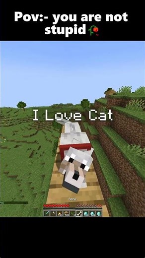 Minecraft ： SomeOne Who Knows The Answer 😂 #minecraft #shorts 2