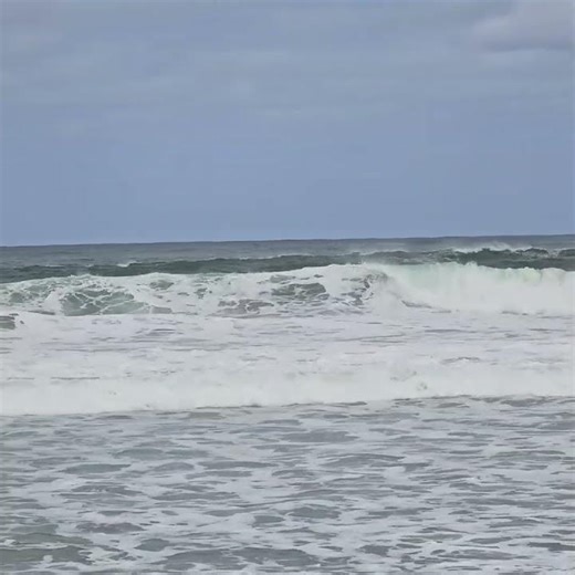 Hanalei Bay 2026 - "Bummer no one's surfing"