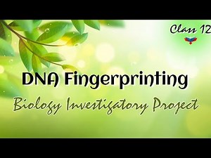 || Biology Investigatory Project on DNA Fingerprinting || Class 12 ||