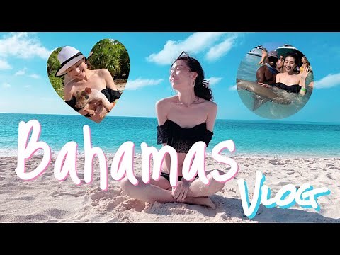 Bahamas Vlog｜カリブ海のリゾート地バハマでビーチ&泳ぐ豚、サメ、イグアナと戯れる｜巴哈马游玩记打卡网红岛🐷🦈🦎