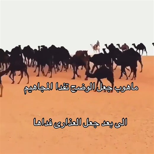 ‏#مجرد_ذوق #fyp