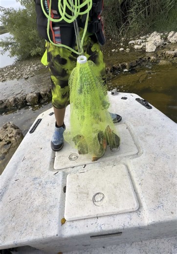 Mastering Cast Net Fishing Techniques in Florida