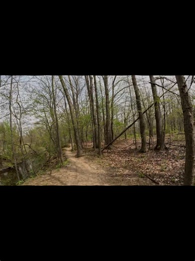 Michigan Trail Biking Adventure