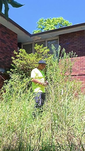 Complete Yard Clean-Up Transformation
