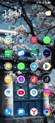 WINNER (@winner_pms2)’s videos with original sound - ICT Star 🌟