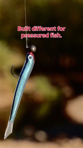 Flash-Trix and jig head.